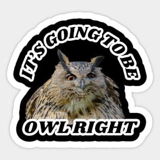 Owl Right Sticker